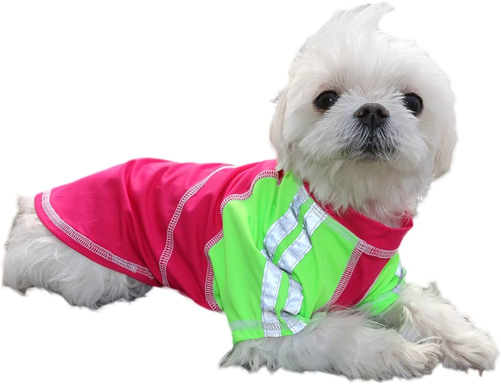 Keep Your Pup Cool With Louie De Coton's Stylish Cooling Shirts